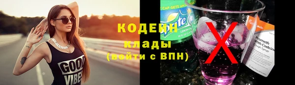 скорость Гусев