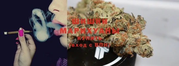скорость Гусев