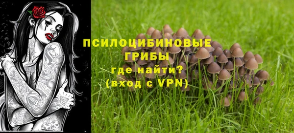 ALPHA PVP Гусь-Хрустальный