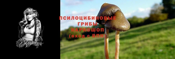 PSILOCYBIN Горняк