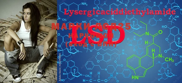 PSILOCYBIN Горняк