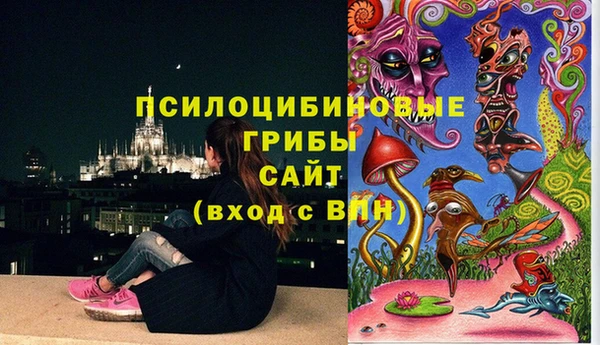 MDMA Горно-Алтайск