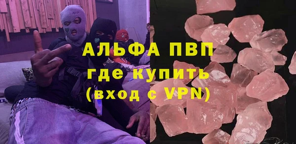 PSILOCYBIN Горняк