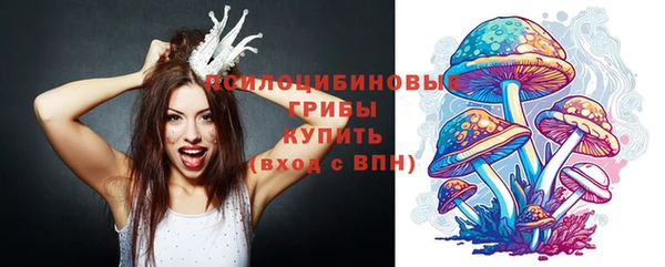 PSILOCYBIN Горняк