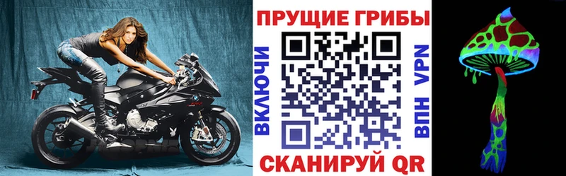 Галлюциногенные грибы Cubensis  Заозёрск 