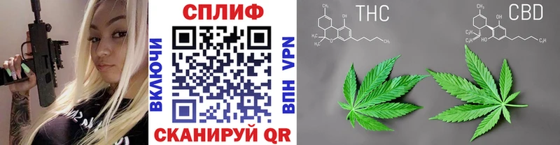 Марихуана сатива  Заозёрск 